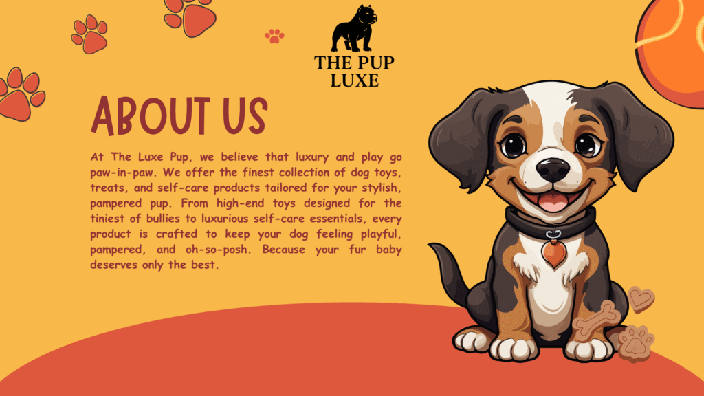 Orange Yellow Illustration Pet Shop Presentation-2