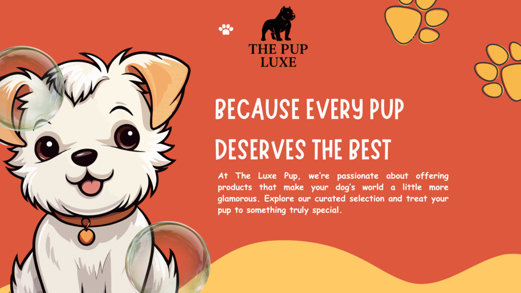 Orange Yellow Illustration Pet Shop Presentation-3