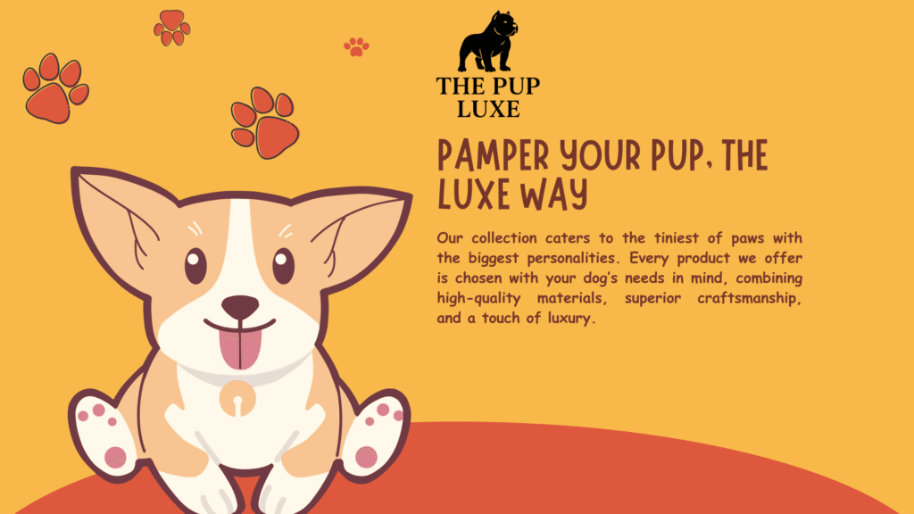 Orange Yellow Illustration Pet Shop Presentation-4