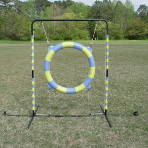 Agility Tire Jump Setup for Competition and Training