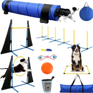 Agility Training Equipment Blue 11 PCS SET