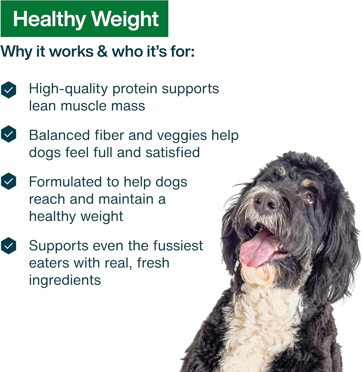 JustFoodForDogs Fresh Frozen – Healthy Weight Management Dog Food - Image 3