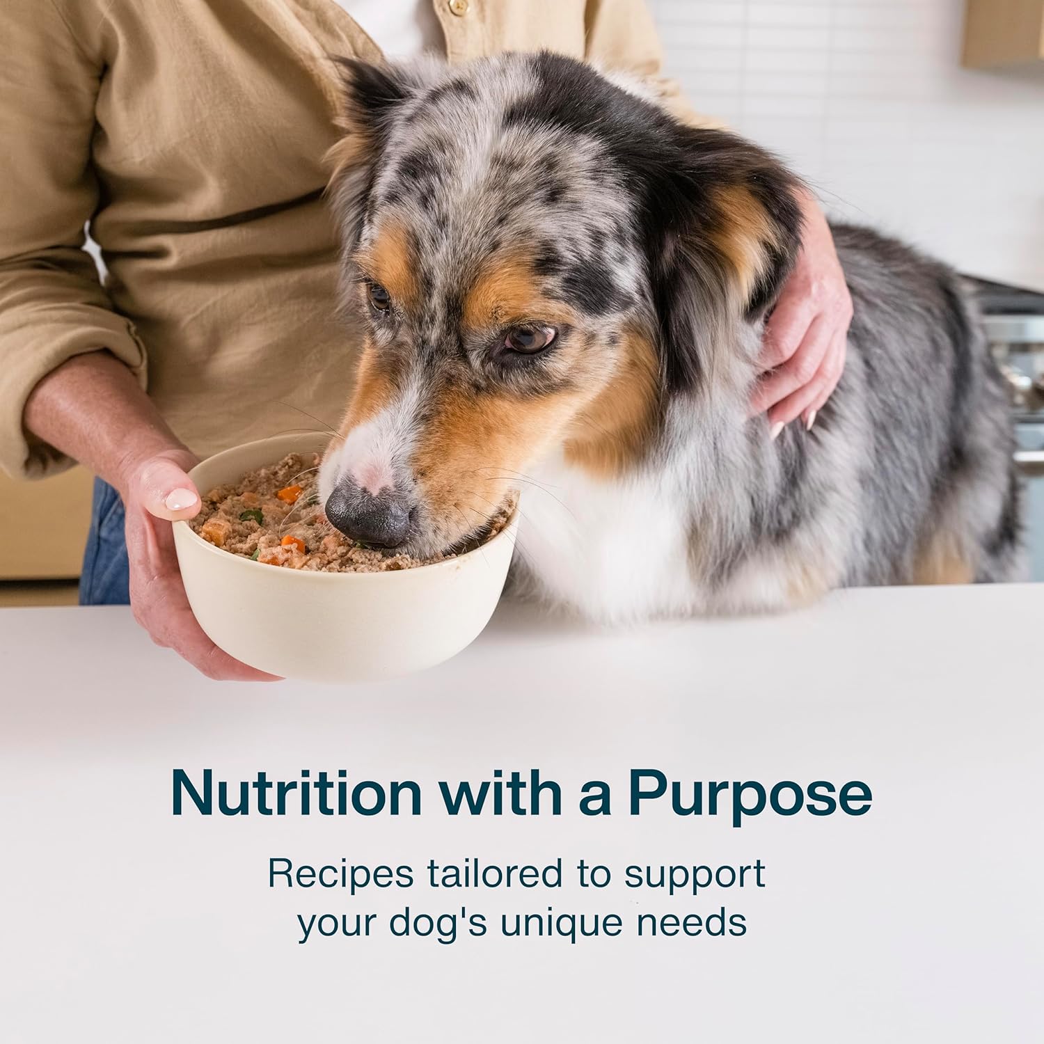 JustFoodForDogs Fresh Frozen – Healthy Weight Management Dog Food - Image 5