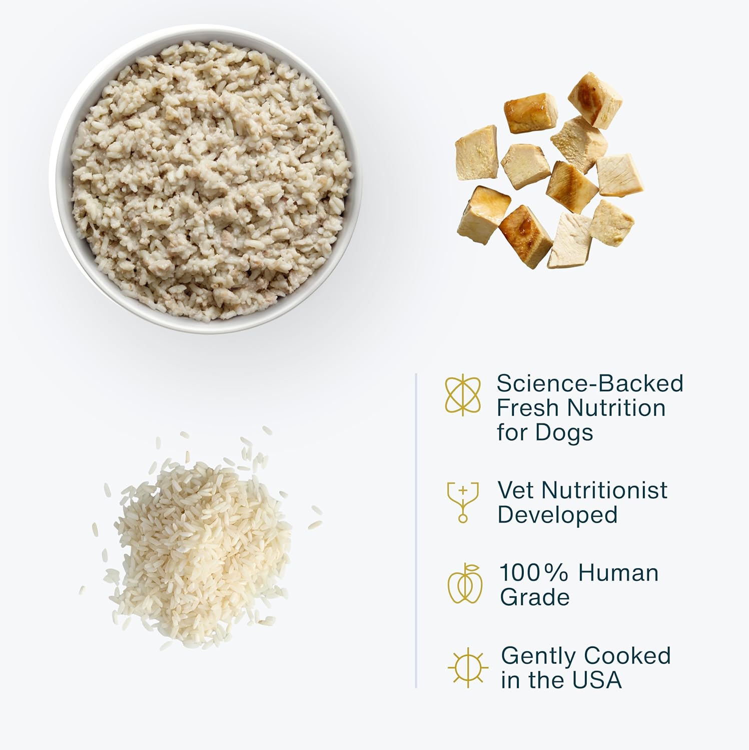 JustFoodForDogs Frozen Fresh Dog Food – Sensitive Stomach Recipe - Image 2