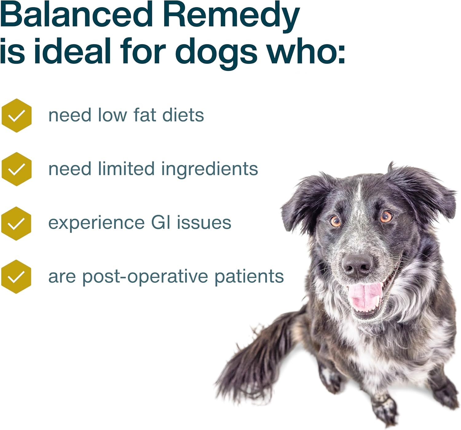 JustFoodForDogs Frozen Fresh Dog Food – Sensitive Stomach Recipe - Image 3