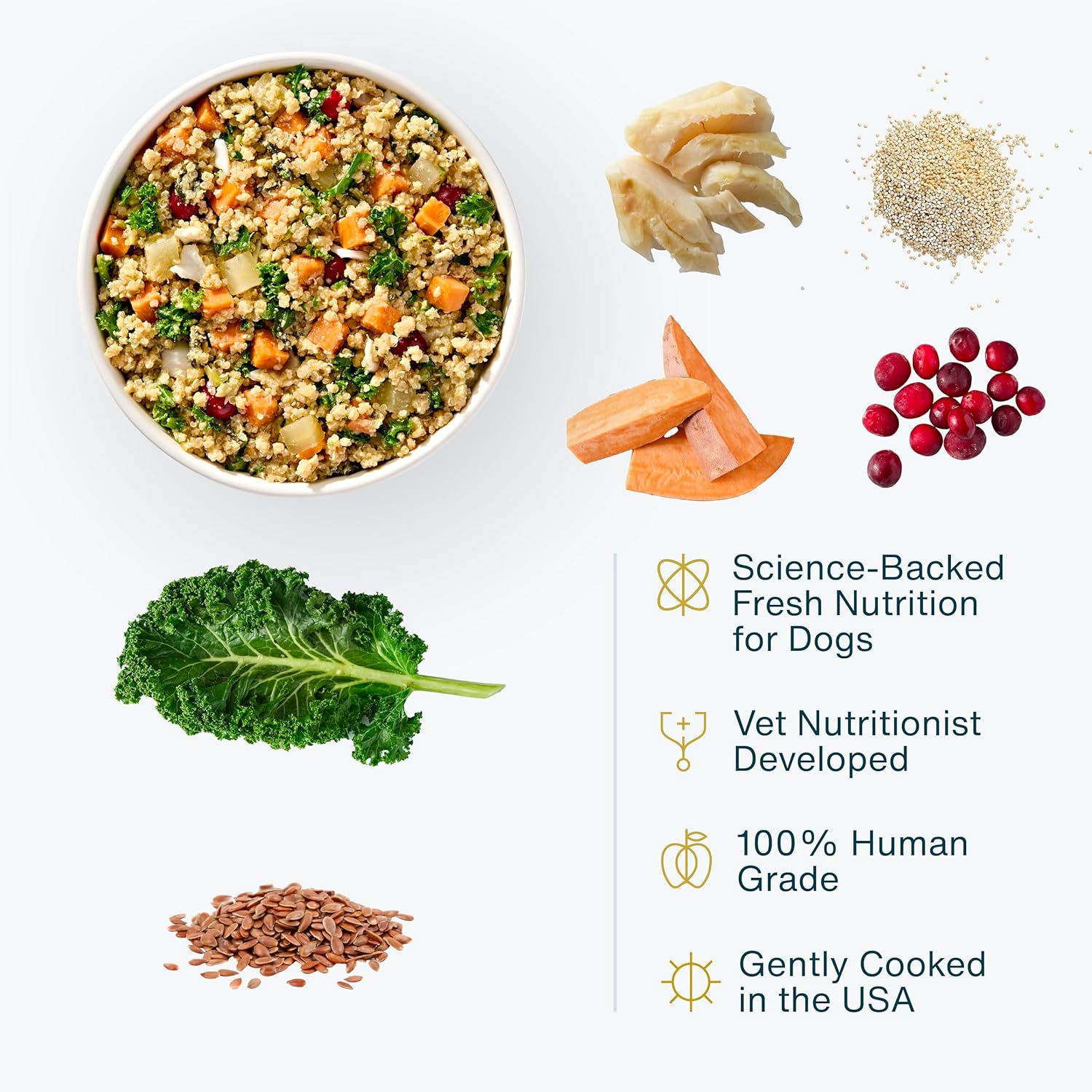 JustFoodForDogs Frozen Fresh Dog Food – Sensitive Skin & Coat Recipe - Image 2