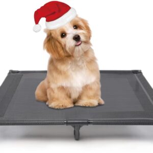 Elevated Dog Bed for Medium Dogs